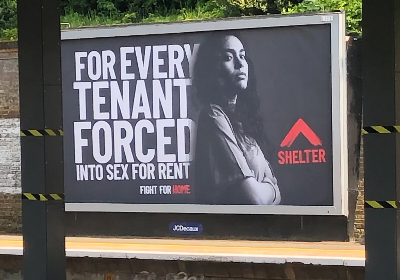 A Shelter campaign billboard in the rebrand's visual language.